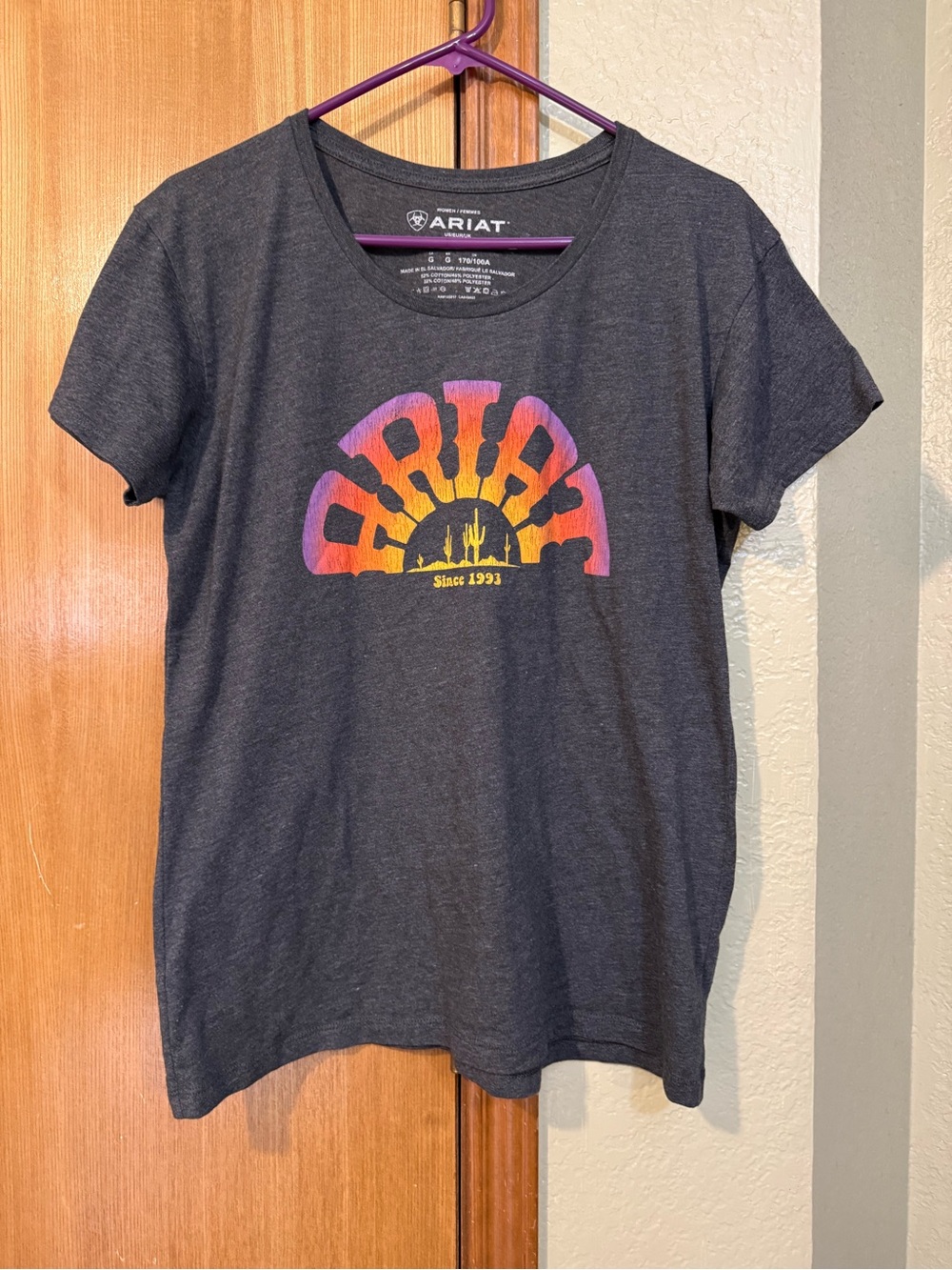 Ariat Charcoal Graphic Tee with Sunset Logo